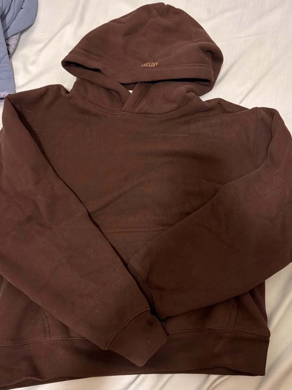 Aritzia hoodie